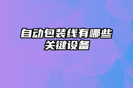 自動包裝線有哪些關(guān)鍵設備
